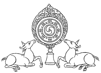 roue dharma